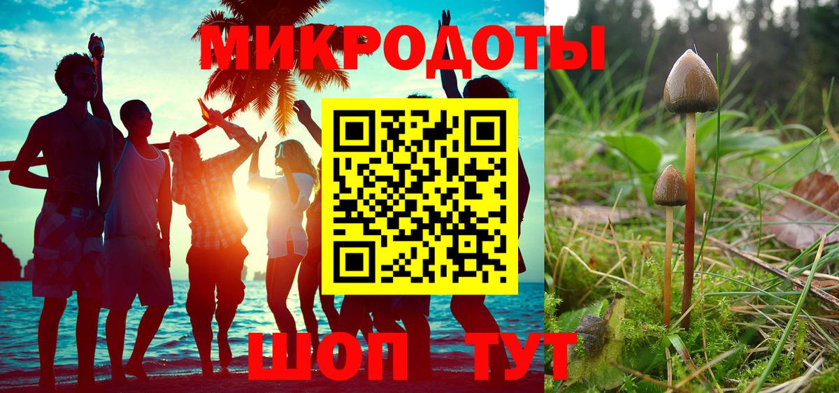 Псилоцибиновые грибы прущие грибы Свободный
