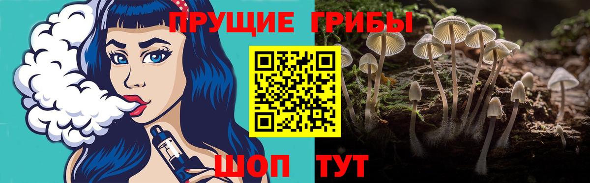 Галлюциногенные грибы мицелий  Вход с VPN  Свободный 